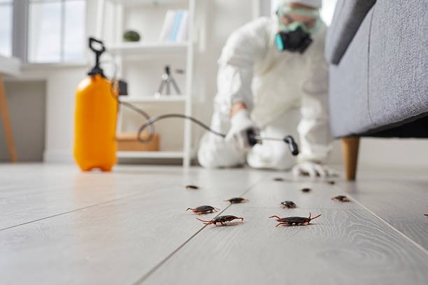 Commercial Kitchen Cockroach Control in Seminole Manor