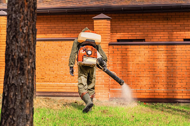 Cockroach Follow-Up and Monitoring in Seminole Manor
